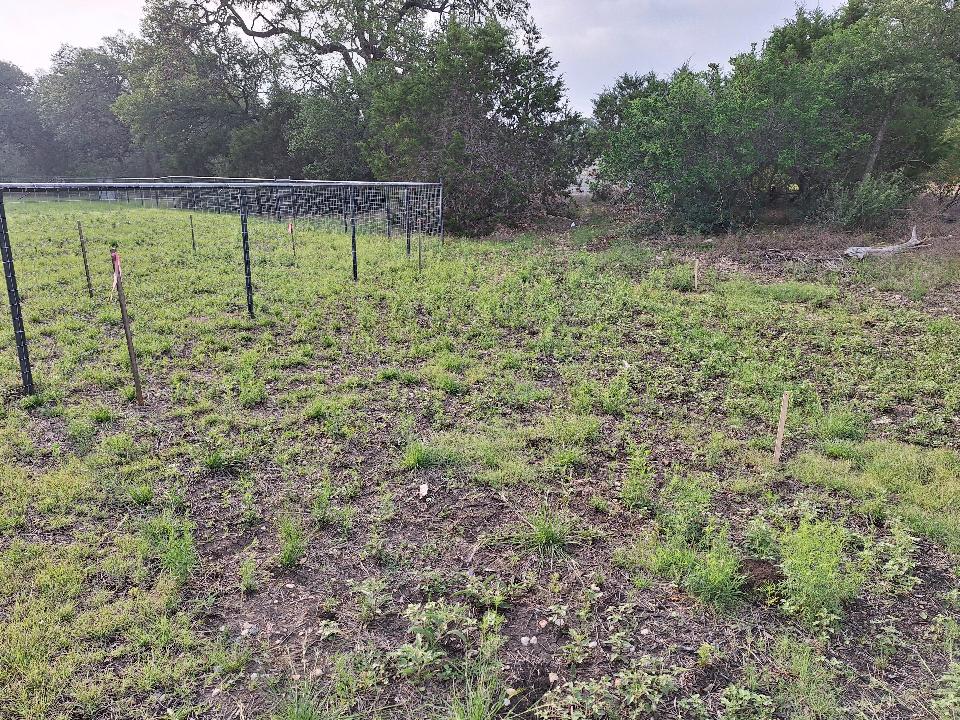 Overgrown or uneven ground